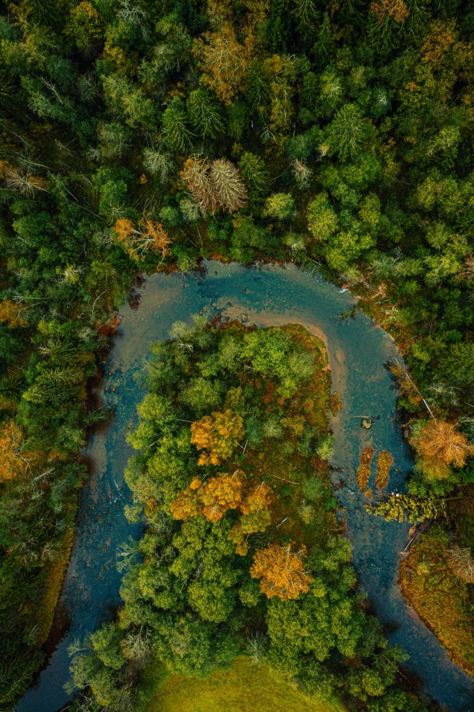 vue de dessus verticale d une riviere qui coule a travers une foret dense un jour d automne - Cab'Qual